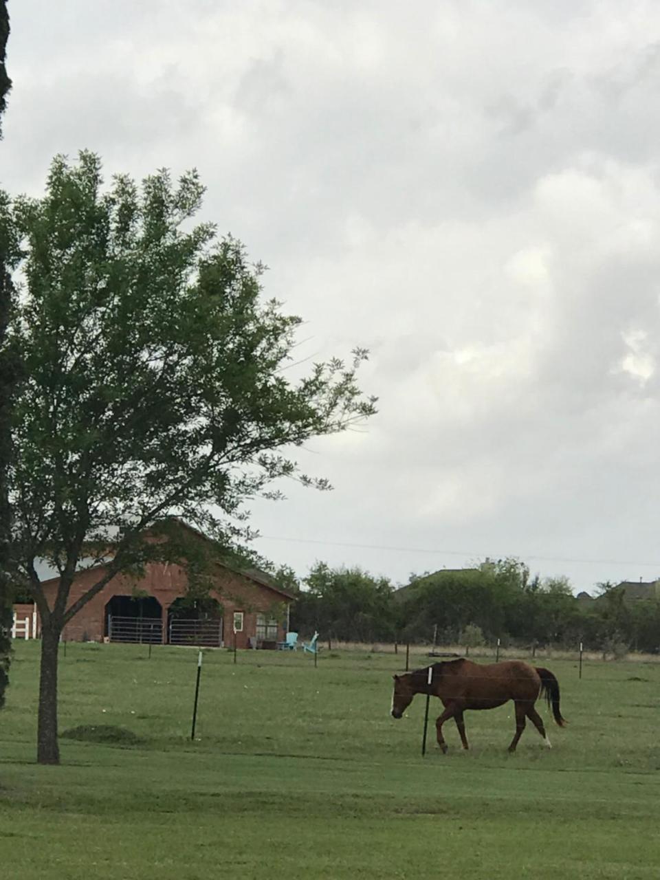 The Plantation House Boutique Inn Pflugerville Esterno foto